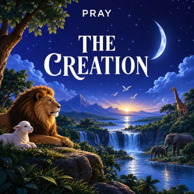 The Creation