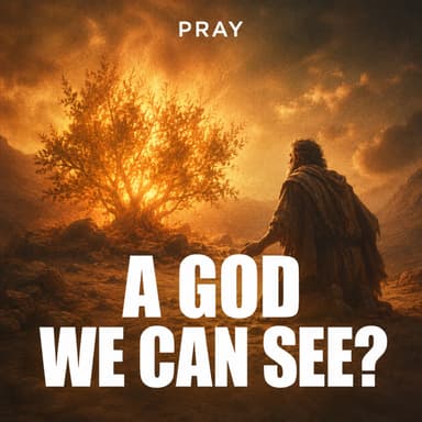 A God We Can See?