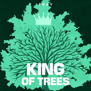 Day 70: King of Trees
