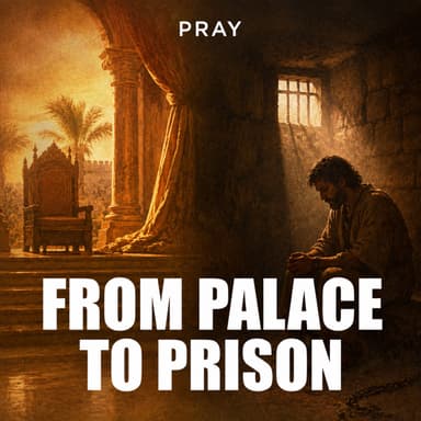 From Palace to Prison