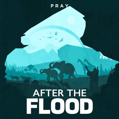 Day 6: After the Flood