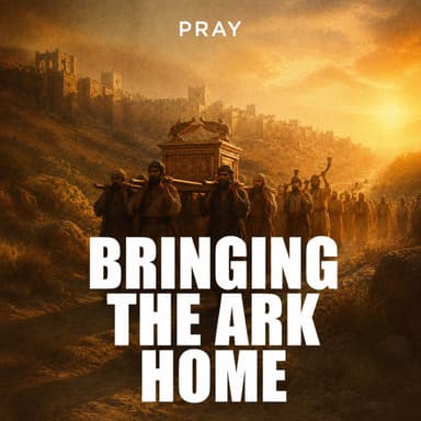 Bringing the Ark Home