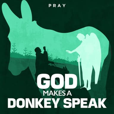 Day 52: God Makes a Donkey Speak