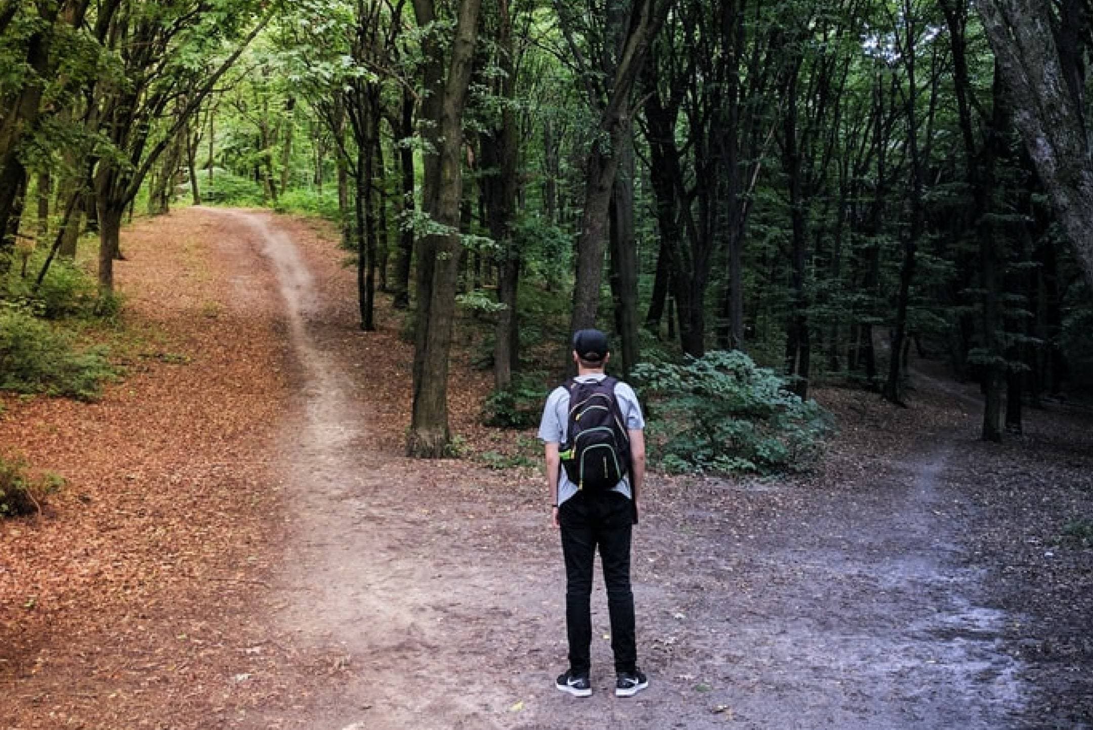 Cover image for Weekly Wisdom: Discernment