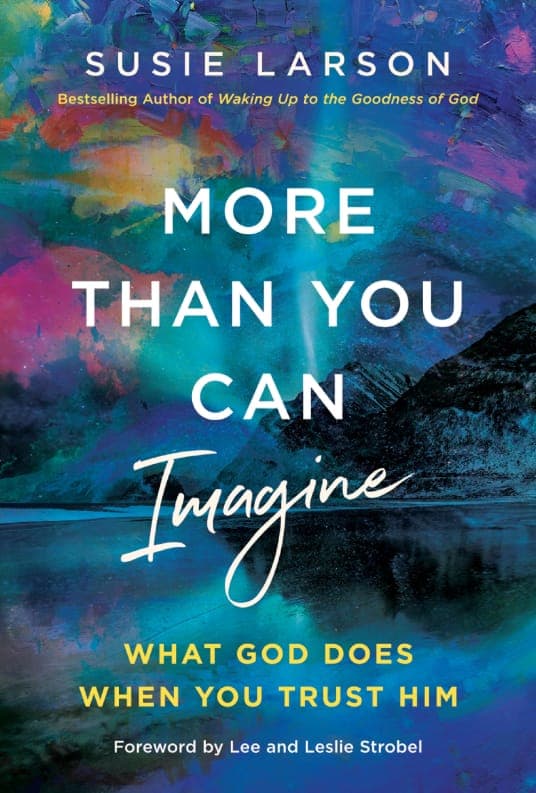 Cover of More Than You Can Imagine by Susie Larson