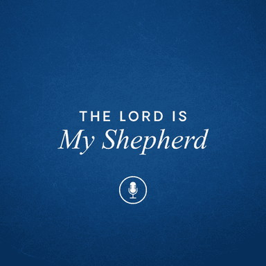 He Leads Me