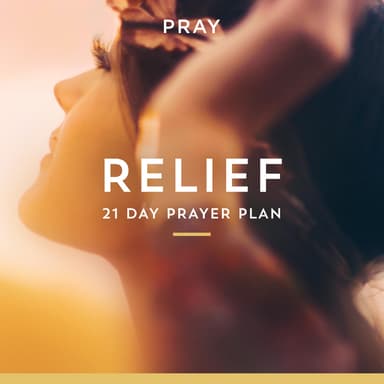 Day 3