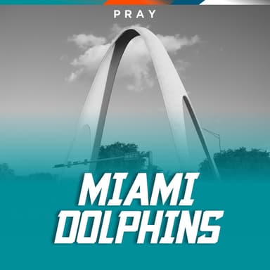 Miami Dolphins by Jeff Osborne