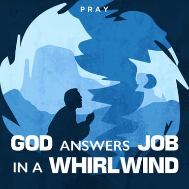 Day 64: God Answers Job in a Whirlwind