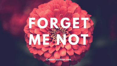 1764 Forget Me Not