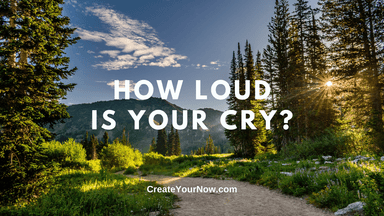 2690 How Loud is Your Cry?