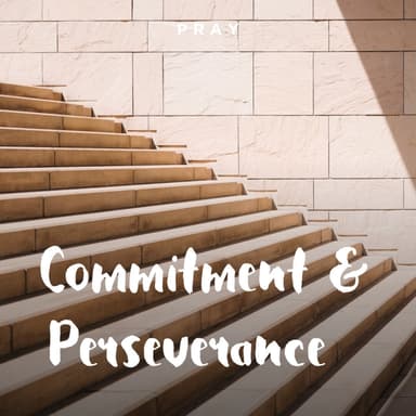 Day 56: Commitment & Perseverance
