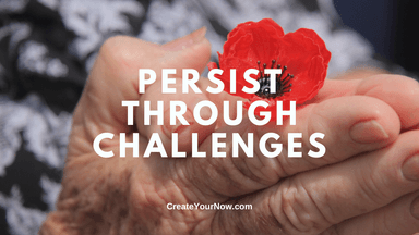 3586 Persist through Challenges