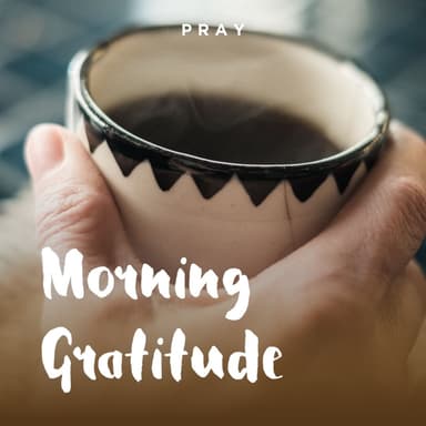 Day 81: Morning Gratitude