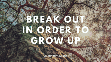 1858 Break Out in Order to Grow Up