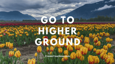 2631 Go to Higher Ground