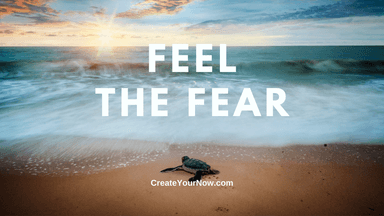 2440 Feel the Fear