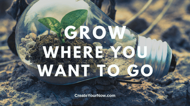 2005 Grow Where You Want to Go