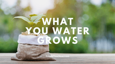3403 What You Water Grows