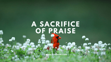 3122 A Sacrifice of Praise