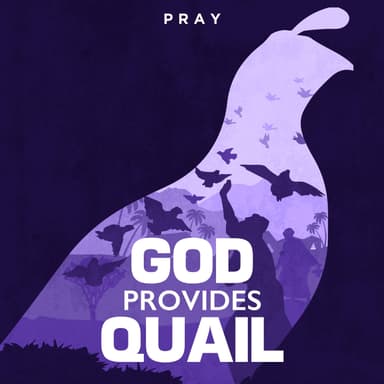 Day 47: God Provides Quail