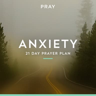 Day 4