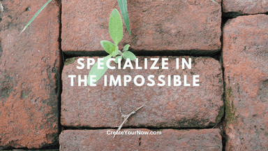 3005 Specialize in the Impossible