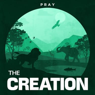 Day 1: The Creation