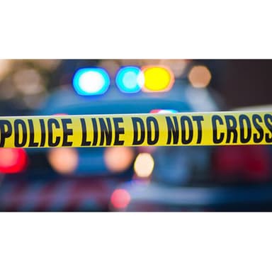Murder In Memphis & Illinois Insanity—How to Reclaim Our Country from Violent Crime