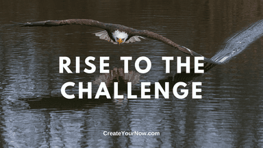 1865 Rise to the Challenge