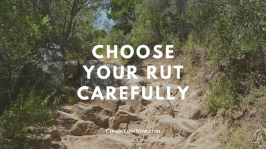 2876 Choose Your Rut Carefully
