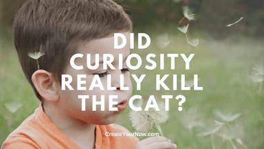 3288 Did Curiosity Really Kill the Cat?