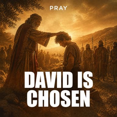 David is Chosen