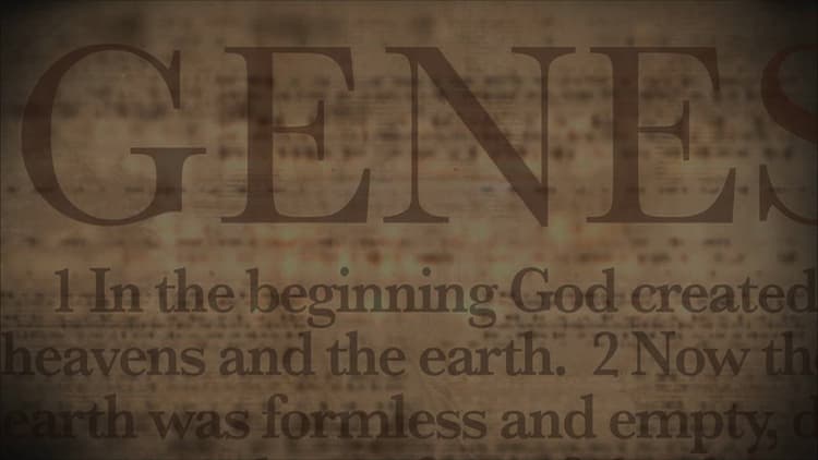 The Wonder of Unity - Billy Lambert Greg Bogdan