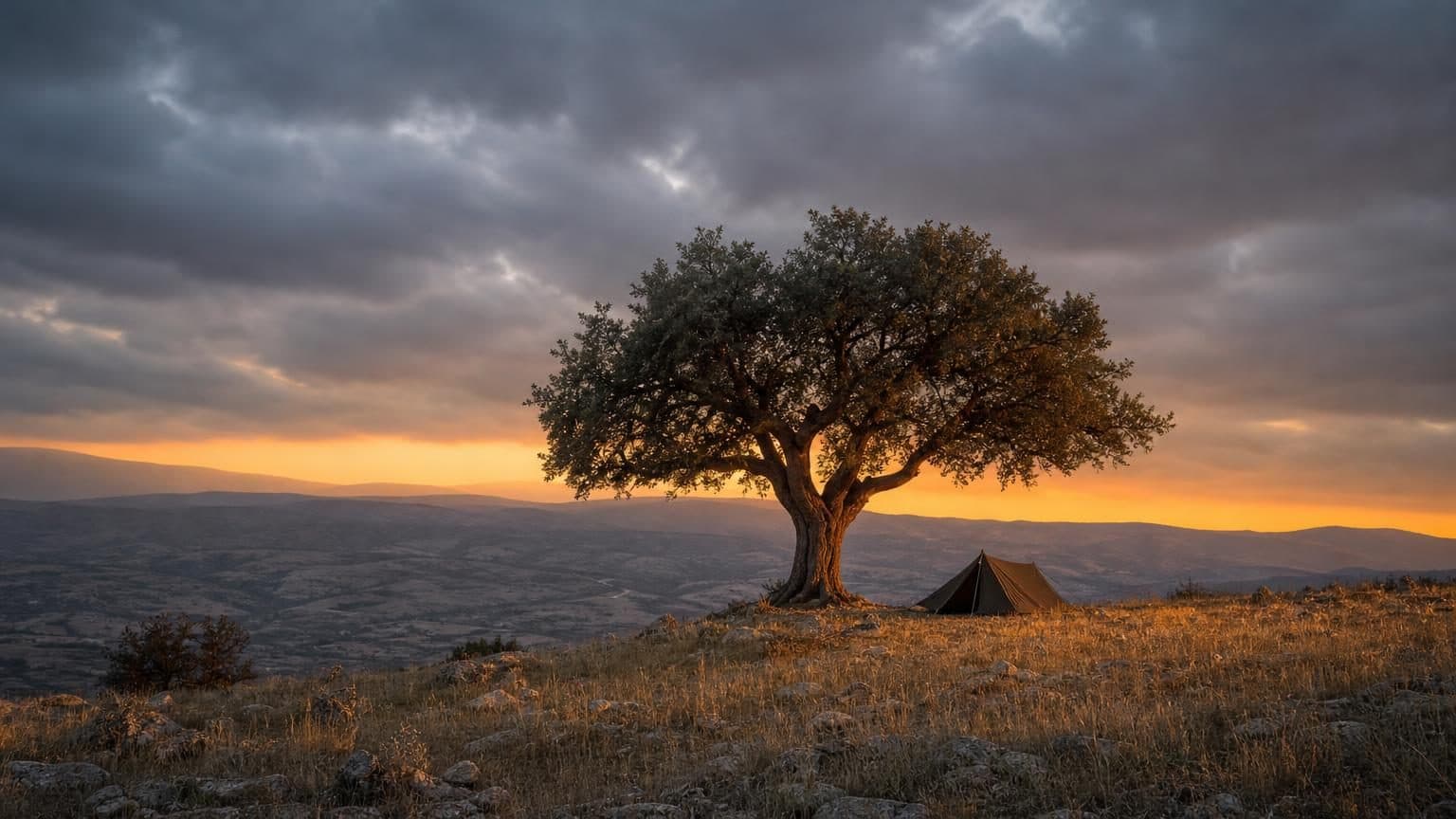 Cover image for Bible in a Year, Day 11: Abraham Pleads, Jesus Intercedes