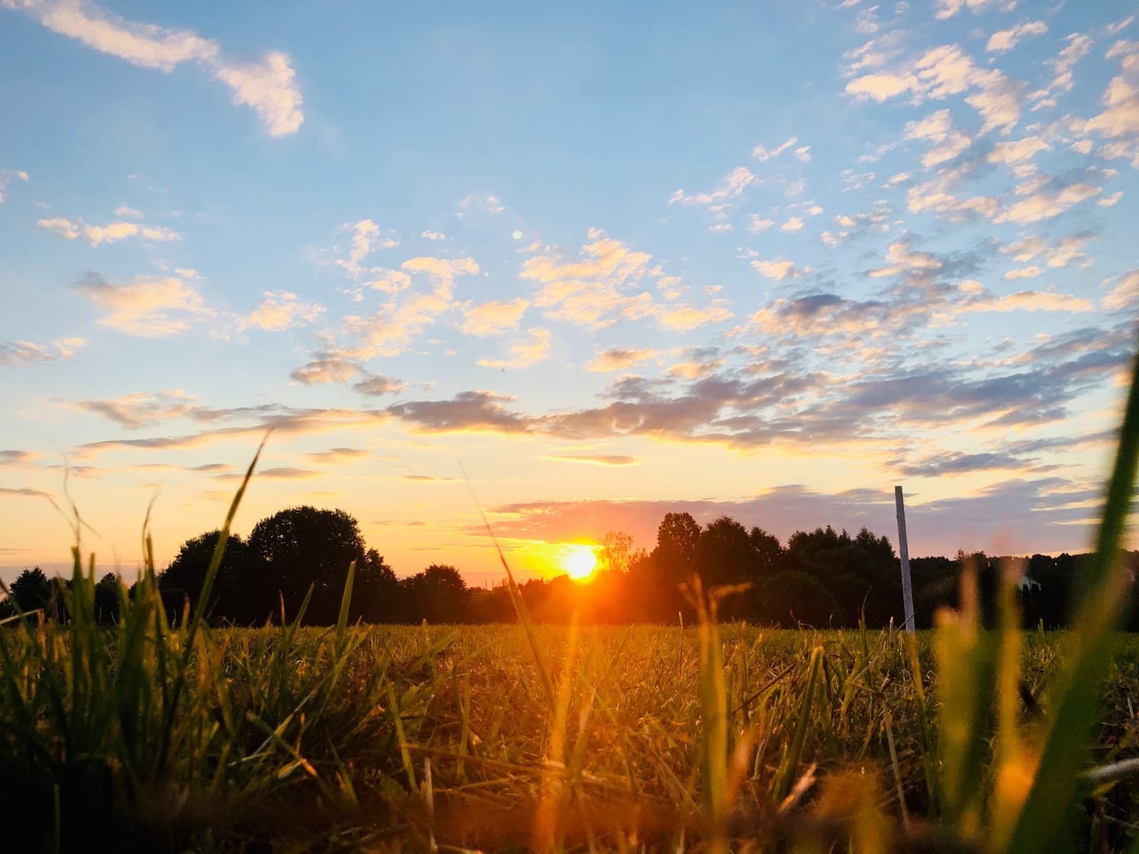 Cover image for 4 Powerful Morning Prayers To Start Your Day With Gratitude