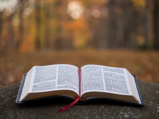 Cover image for How To Read The Bible In Chronological Order