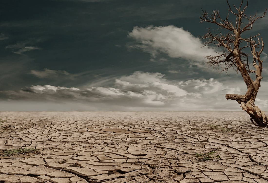 Cover image for Pray.com Launches ‘Pray for Rain’ Campaign to Support Small Family Farms Impacted by Historic Western Droughts