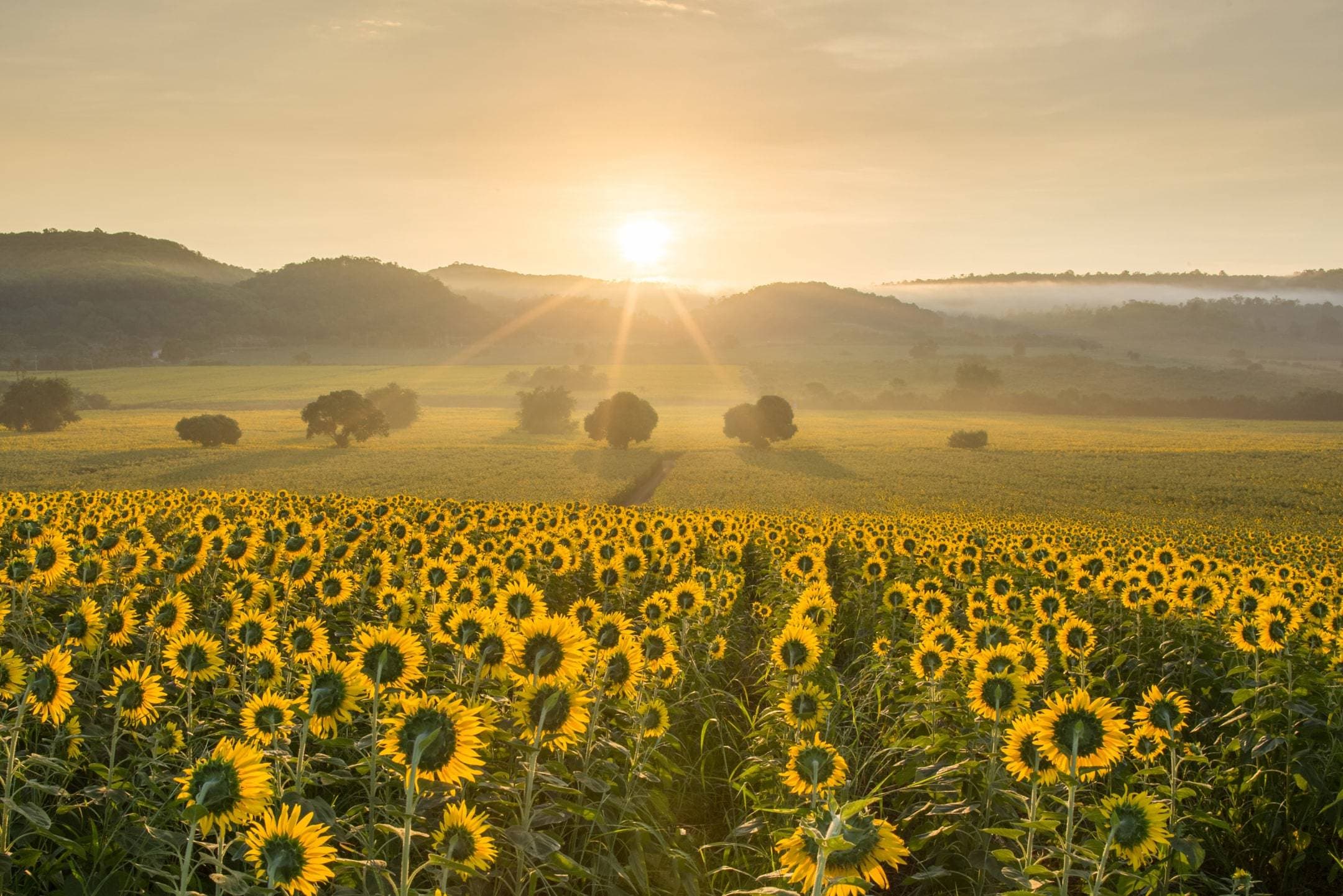 Cover image for Weekly Wisdom: Our Hope