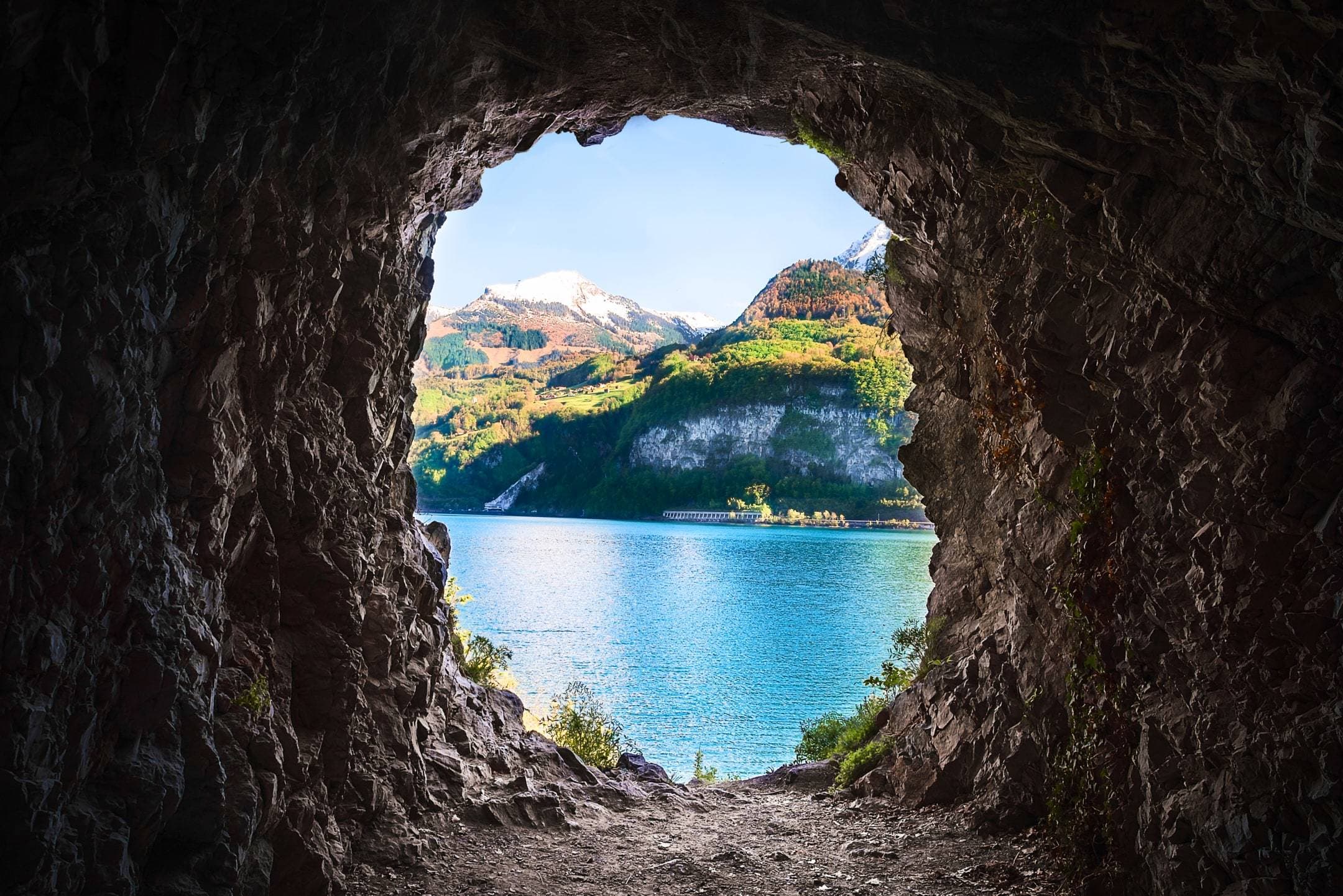 Cover image for Weekly Wisdom: Your Promised Land