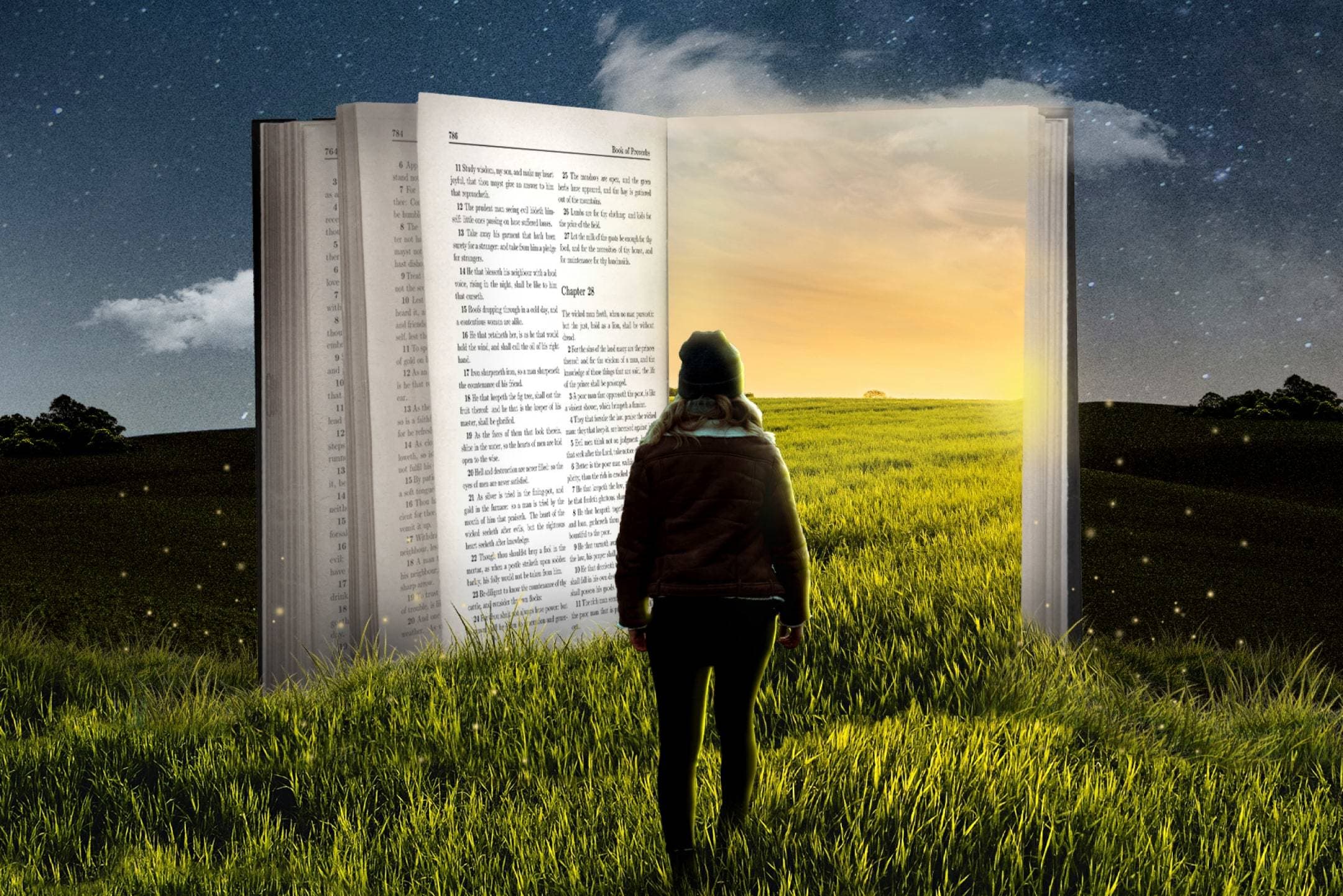 Cover image for Weekly Wisdom: God’s Wisdom