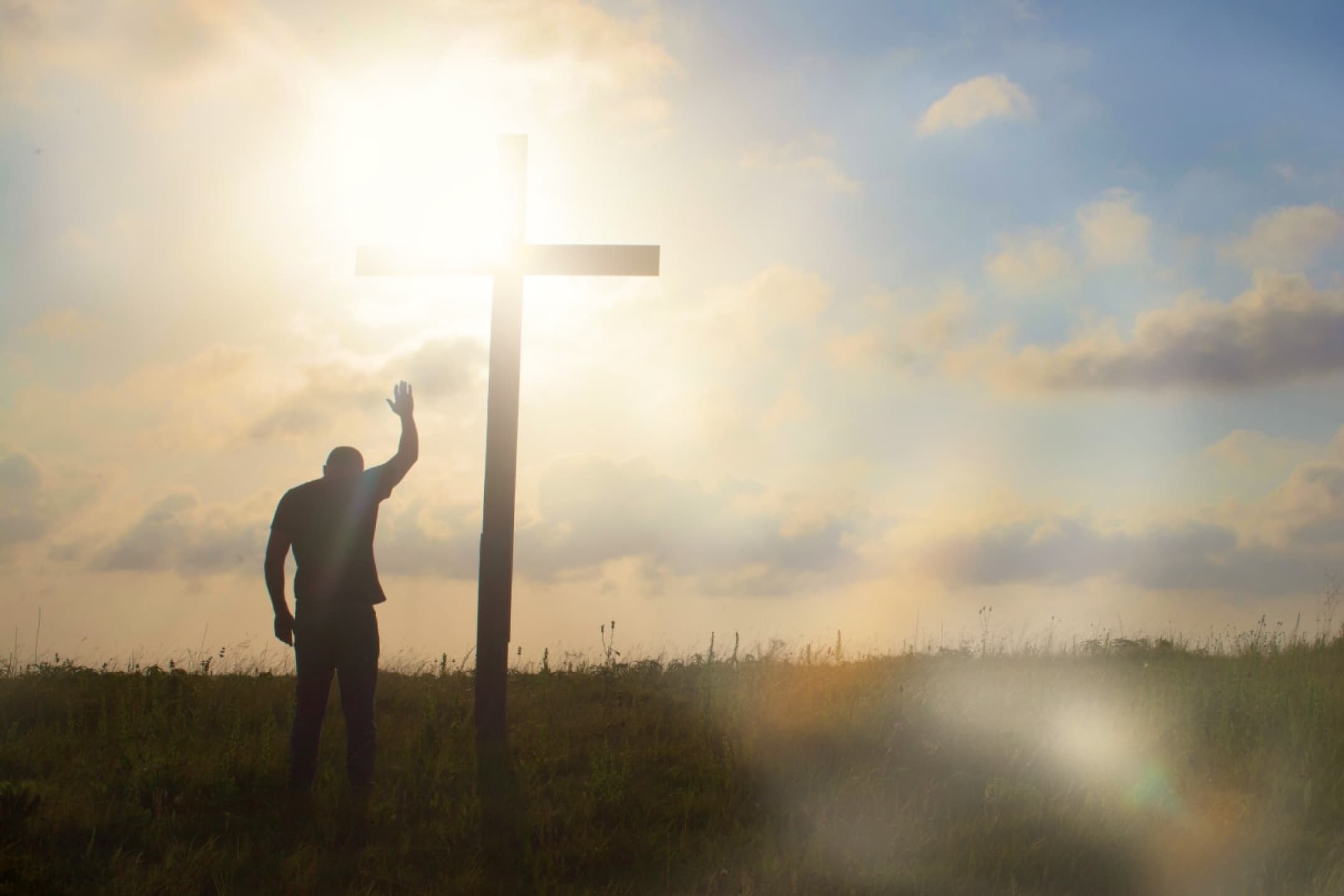 Cover image for Weekly Wisdom: Your Will Be Done