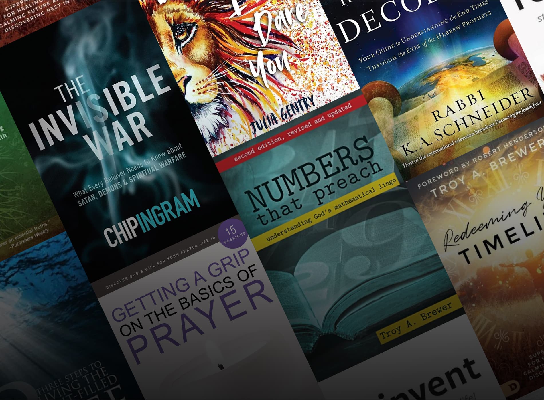 Cover image for Our Favorite Books - Summer Reading Edition